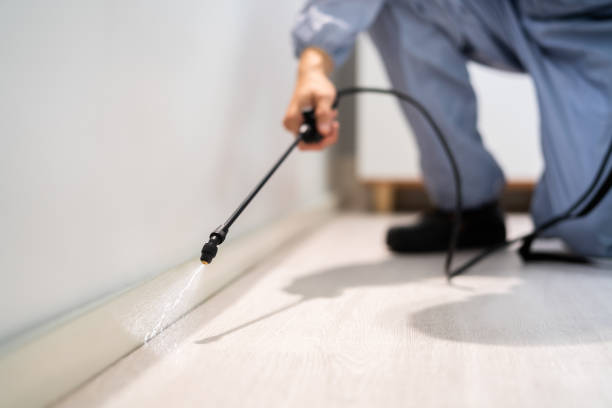 Licensed Termite Control service in Monroe County County, WI - Nex Pest Control