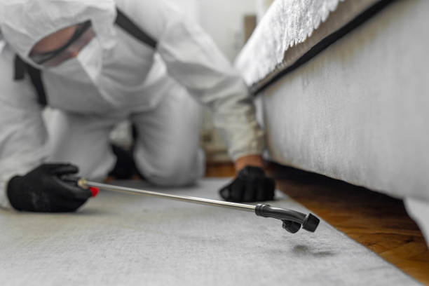 Professional Termite Control technician working in Monroe County County, WI